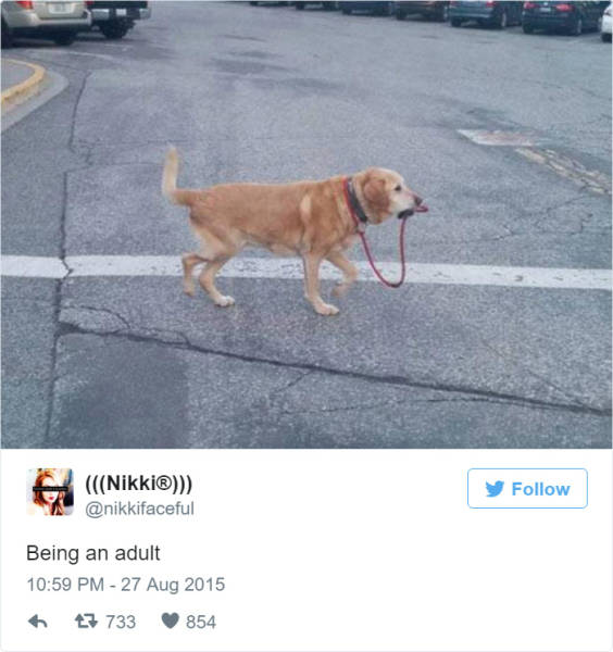 Hilarious Tweets That Perfectly Sum Up All the Struggles Of Being An Adult