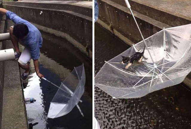 Heartwarming Pictures That Will Restore Your Faith In Humanity