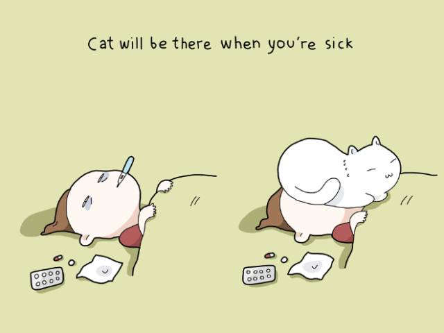 You NEED To Have A Cat Because…