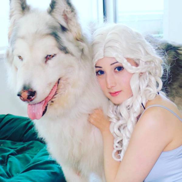 Wow, There’s Actually A Real Direwolf Out There! Kind Of…