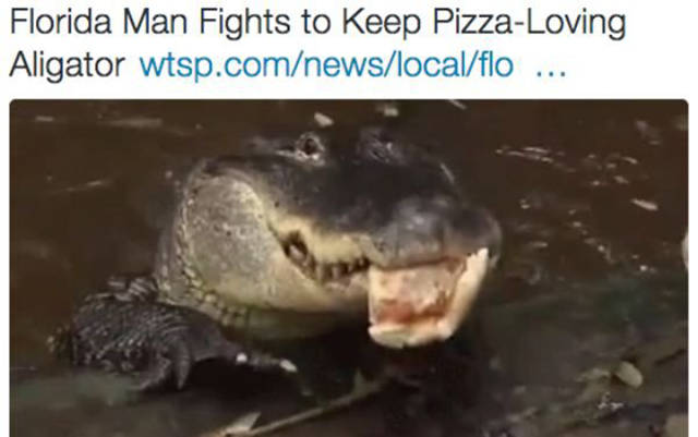 Funny Tweets About The World’s Worst Superhero “Florida Man”
