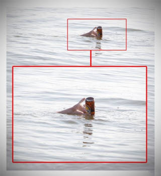 Oh Sweet Mother Russia (38 pics)