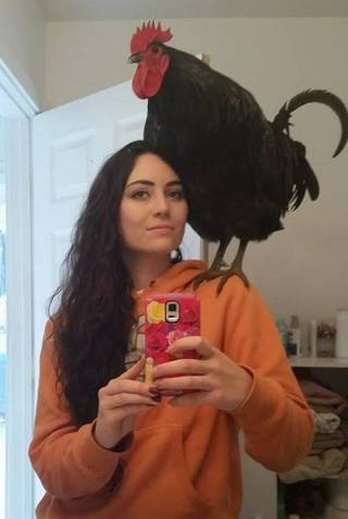 These Are Not Your Usual Pets (41 pics)