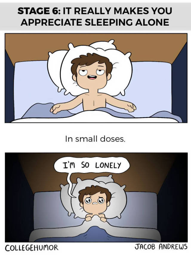 Funny 6 Stages Of Sleeping With Your Partner