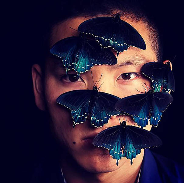 A Man Was Able To Repopulate Rare Butterfly Species In His Own Backyard