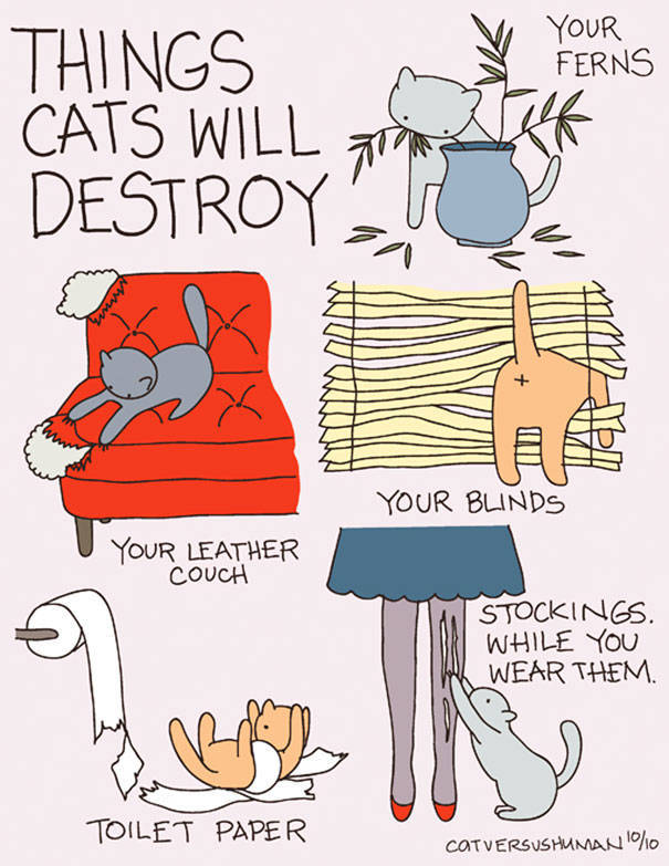 This Comics Perfectly Sums Up A Life With A Cat