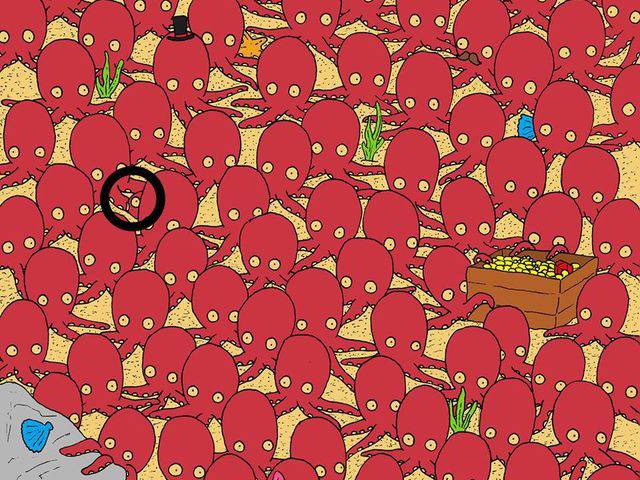 Can You Find The Hidden Fish In This Image? Can You Find The Hidden Fish In This Image?