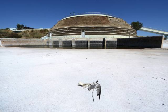 A Look At The Abandoned Olympic Venues From Around The World