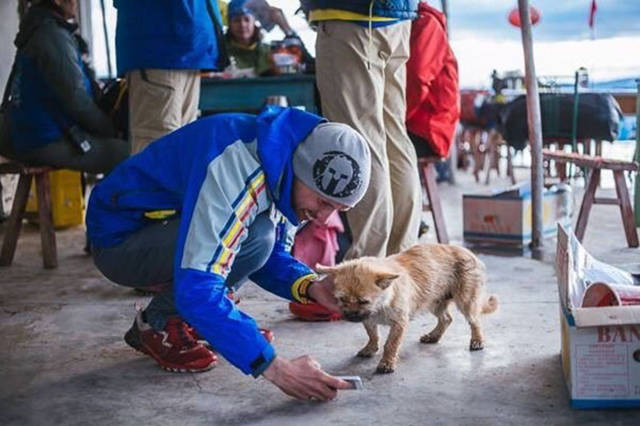Stray Dog Joins The Race And Finds A Loving Owner In The End