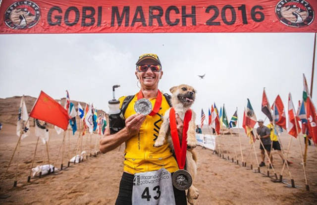 Stray Dog Joins The Race And Finds A Loving Owner In The End