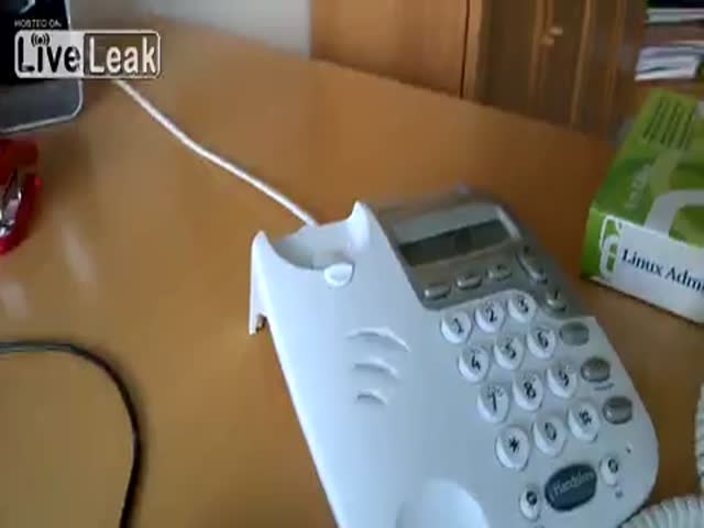 How To Deal With Telephone Scammers