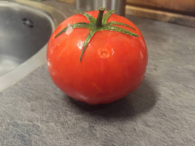 This Is What Happens To A Frozen Tomato After It Was Taken Out Of A Freezer