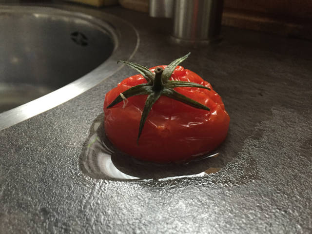 This Is What Happens To A Frozen Tomato After It Was Taken Out Of A Freezer