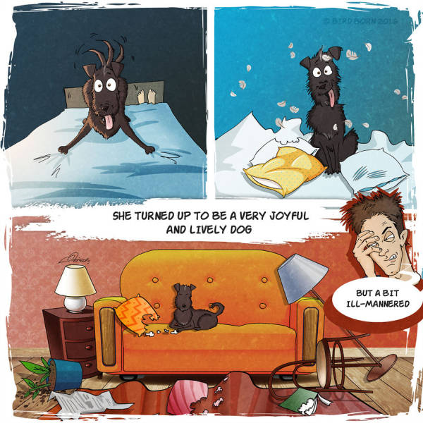 Amazing Comics Based On A True Story About An Adopted Dog