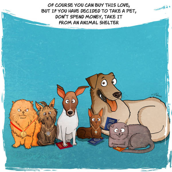 Amazing Comics Based On A True Story About An Adopted Dog