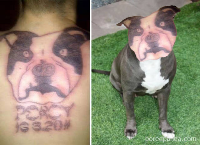 Cringe-Inducing Face Swaps With Tattoos That Show How Hard These Tattoos Failed