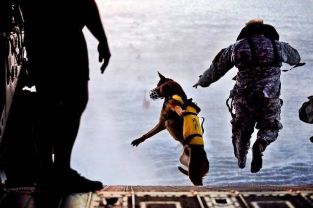 Military Photos Taken At The Right Moment Makes It A Huge Win