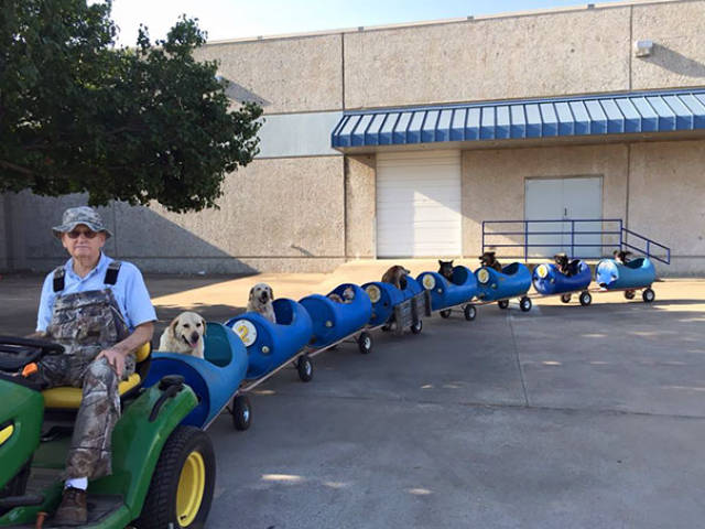 These Dog Owners Deserve A Medal
