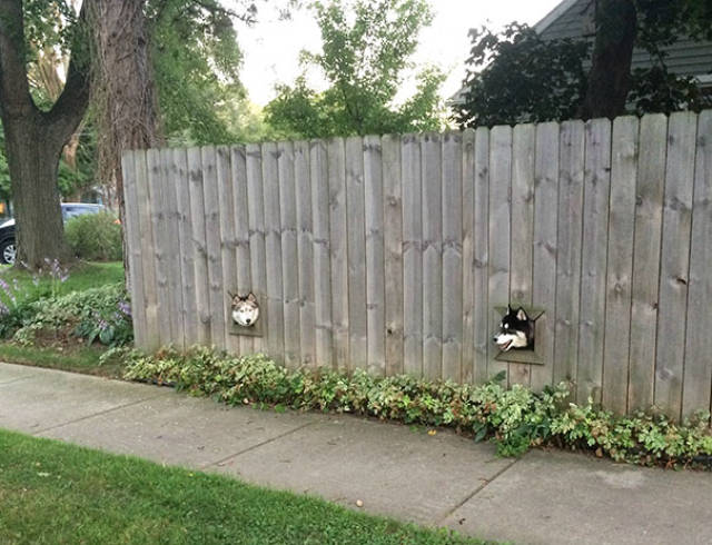 These Dog Owners Deserve A Medal