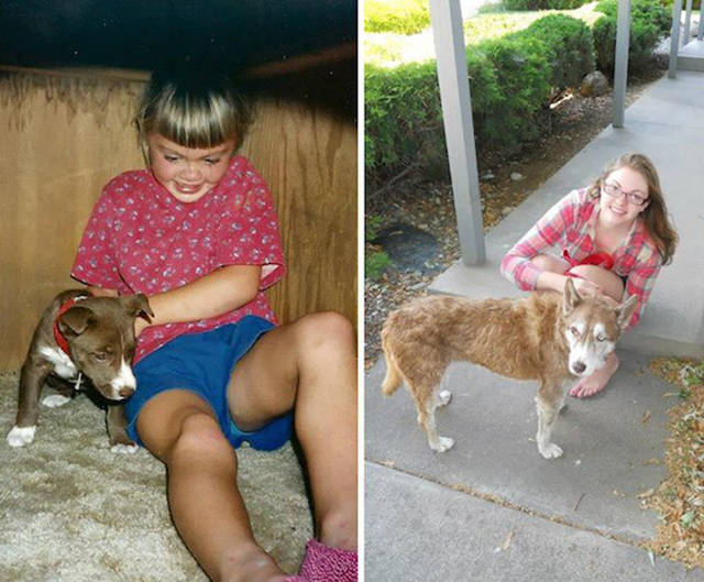 First And Last Pictures Of Pets That Will Hit You Right In The Feels