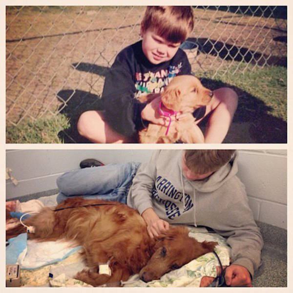 First And Last Pictures Of Pets That Will Hit You Right In The Feels