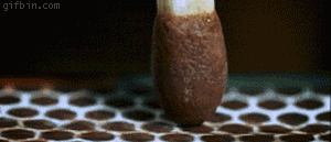There Is Nothing Better Than To Watch Gifs In Slow Motion