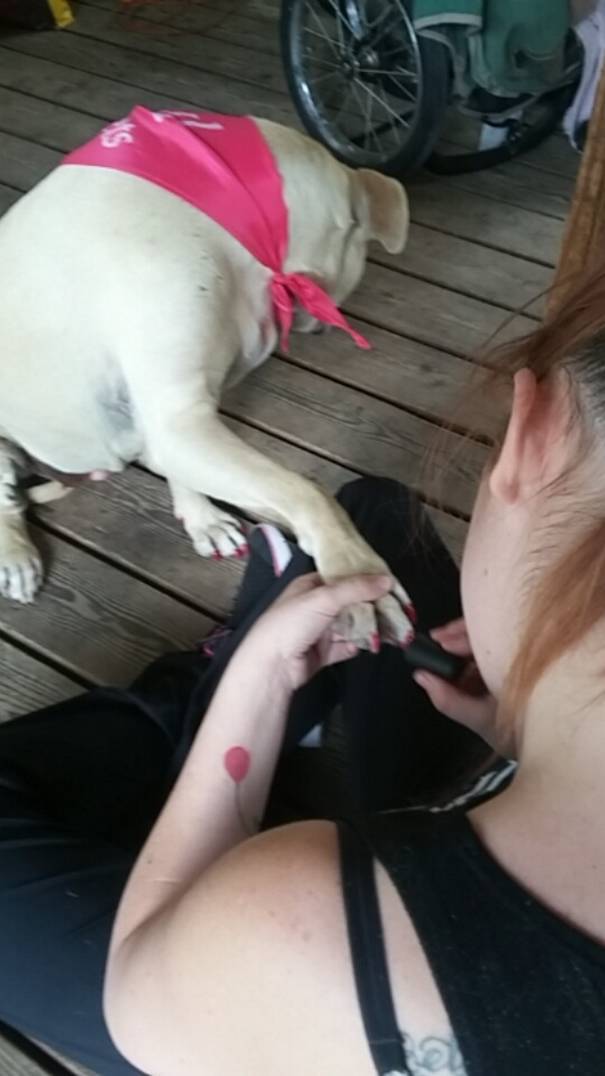 Girl Documents The Last Day With Her Dog With Snapchats And It’s Heartbreaking