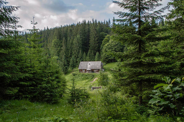 Cute, Cozy And Secluded Cabins In The Woods That Are Perfect For Gateways