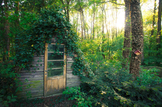 Cute, Cozy And Secluded Cabins In The Woods That Are Perfect For Gateways
