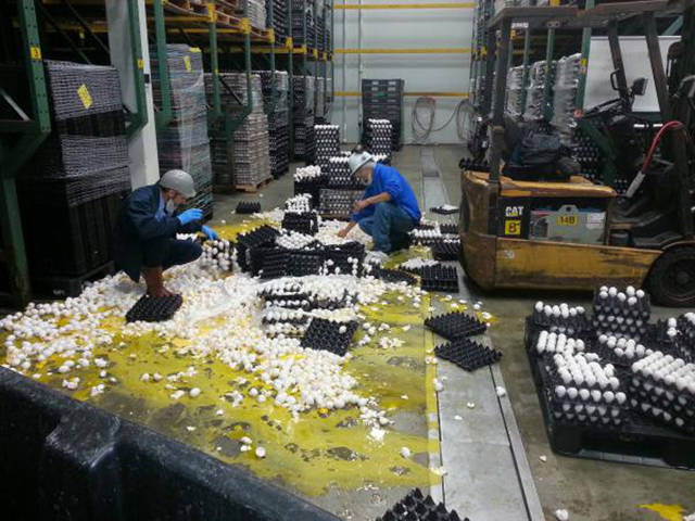 Now This Is What a Bad Day Looks Like