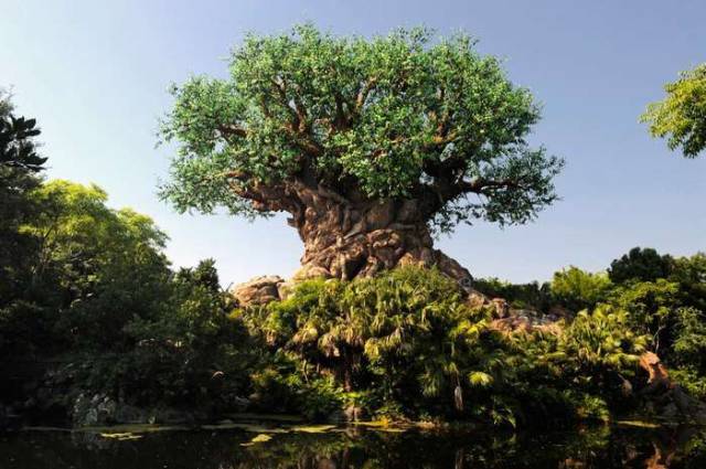 Hidden Gems In Disney Parks That A Lot Of People Don’t Know About
