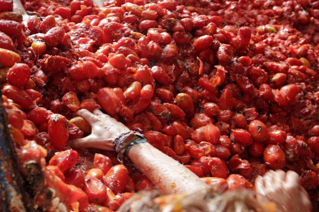 La Tomatina: Huge Tomato Fight In Spain