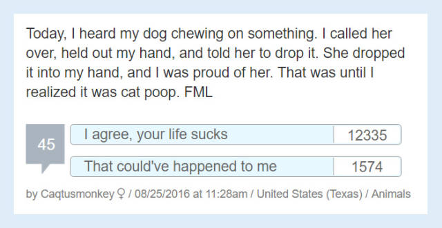 People Share Their ‘F#ck My Life’ Stories That Are Both Sad And Hilarious