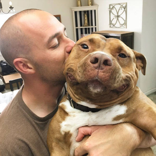 This Adopted Rescue Pit Bull Can’t Stop Smiling