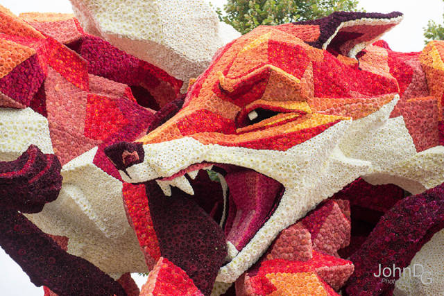 World’s Largest Flower Parade In The Netherlands