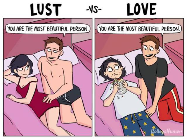 Funny Comics That Show Difference Between Lust And Love