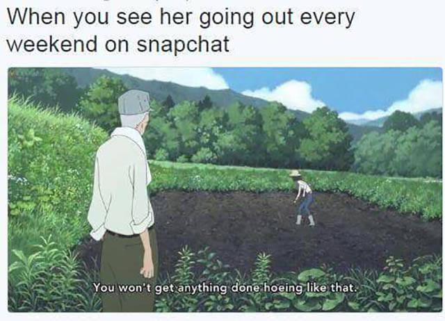 Amusing Memes to Make You Laugh out Loud
