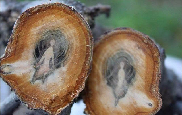 Fascinating Photos That Speak For Themselves