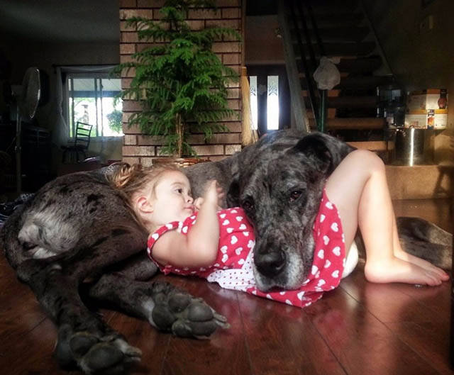 Fascinating Photos That Speak For Themselves
