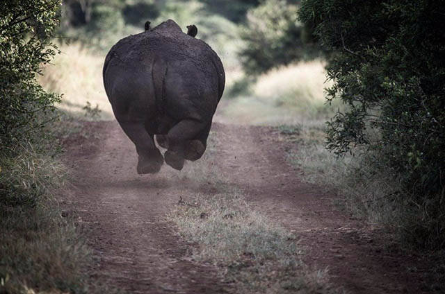 Fascinating Photos That Speak For Themselves