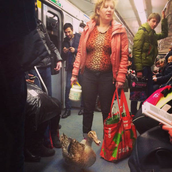 Russia: The Motherland Of The Weird And The ‘WTF’