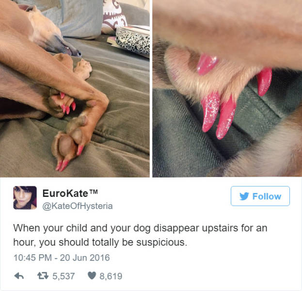 A Few Of The Funniest Tweets From Moms