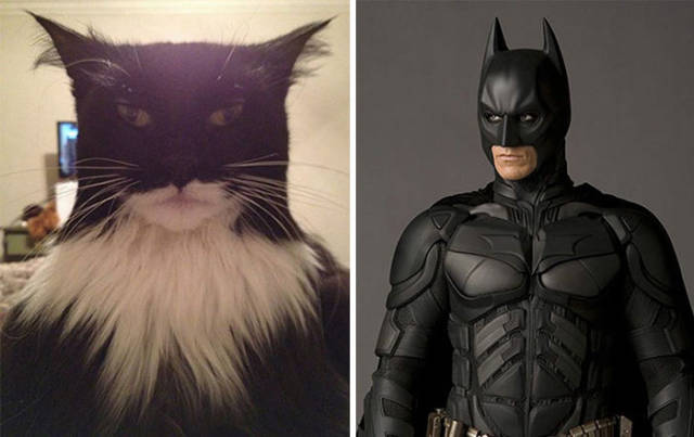 Cartoons And Their Impressive Real-Life Lookalikes