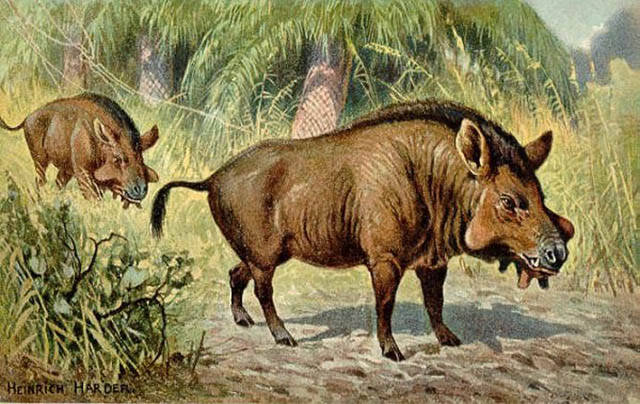 We Are Lucky These Animals Are Extinct Today