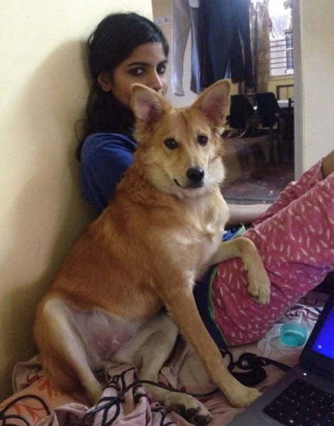 Girl Refuses Arranged Marriage Because Of Her Dog