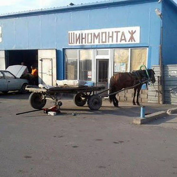 Russia: The Motherland Of The Weird And The ‘WTF’