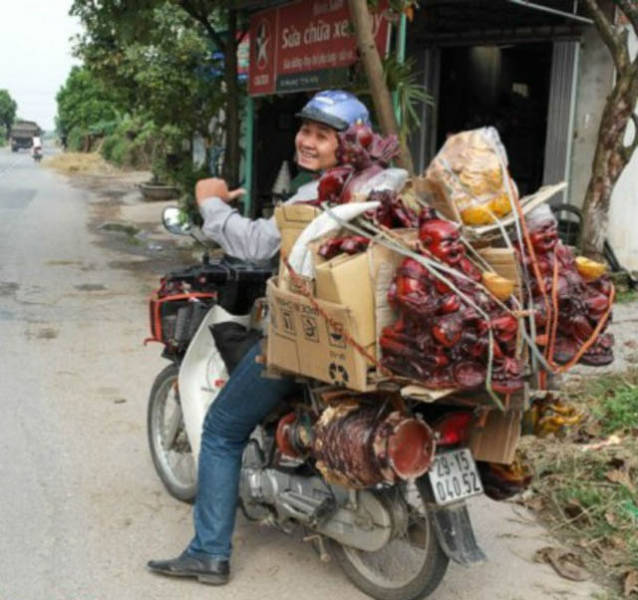 You’d Be Surprised To Learn What Crazy Loads A Simple Bike Can Carry
