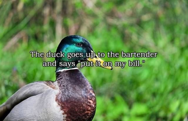 Terrible Short Jokes That Will Make You Laugh All The Way