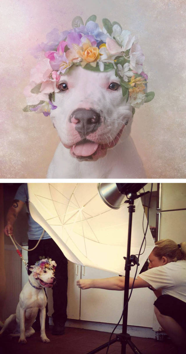 The Magic Behind The Making Of These Gorgeous Photos