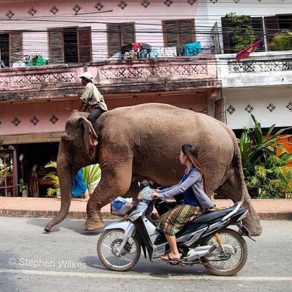 The Reason Why You Should Follow National Geographic On Instagram